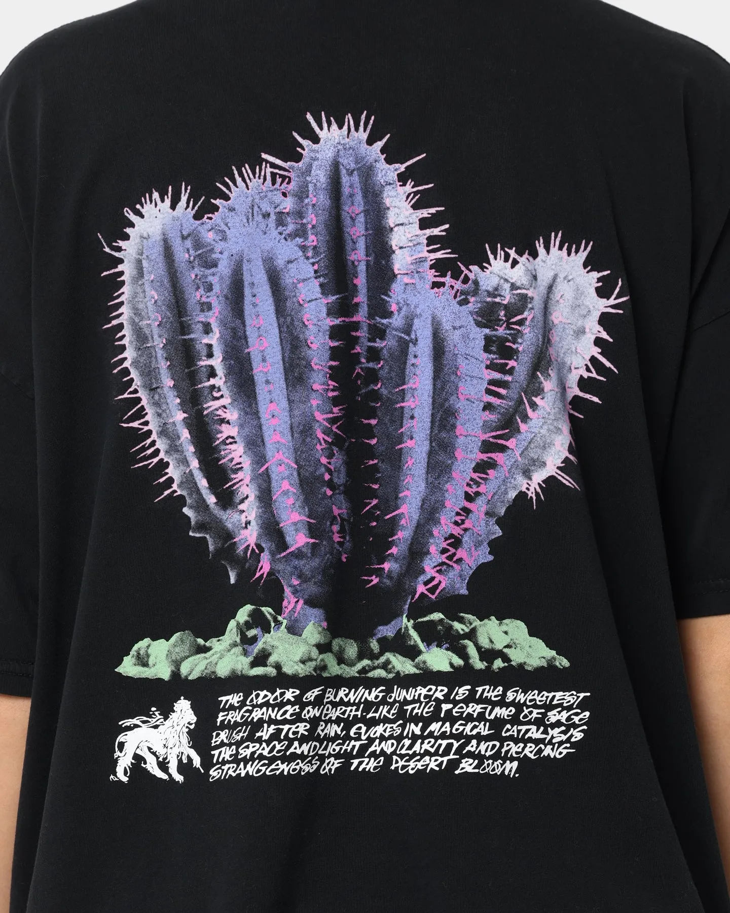 Stussy Women's Desert Bloom Relaxed T-Shirt Black